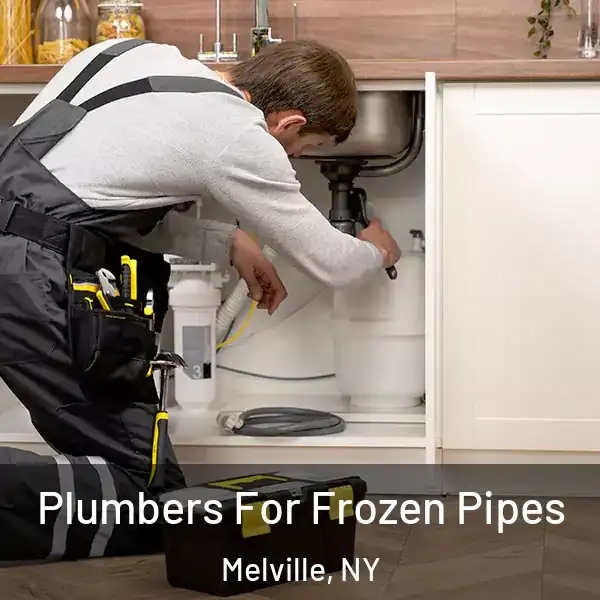  Plumbers For Frozen Pipes Melville, NY