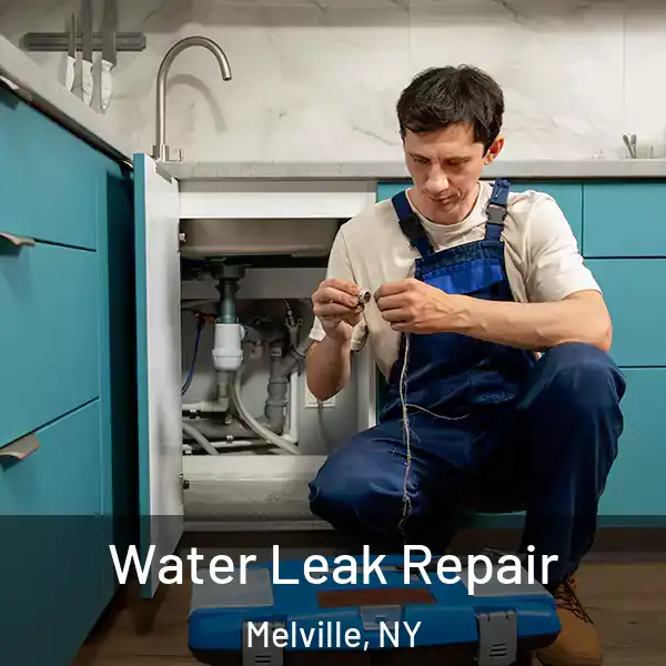 Water Leak Repair Melville, NY